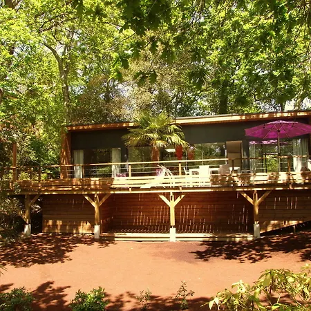 Oasis Vila *