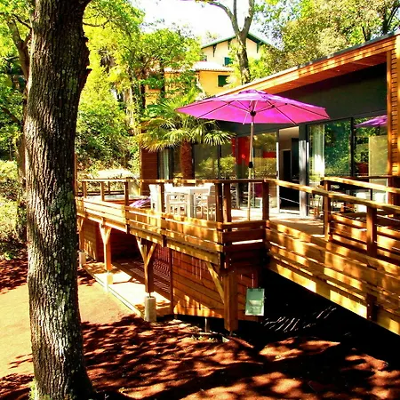 Oasis * Arcachon
