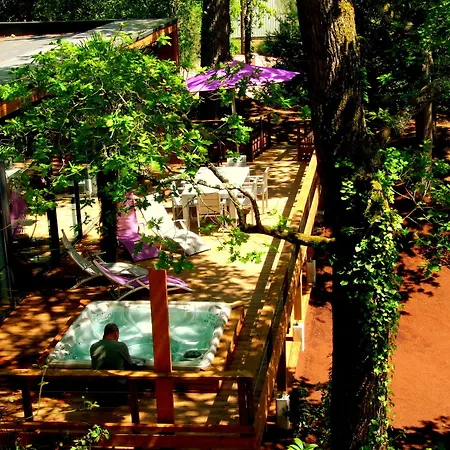 L'oasis * Аркашон
