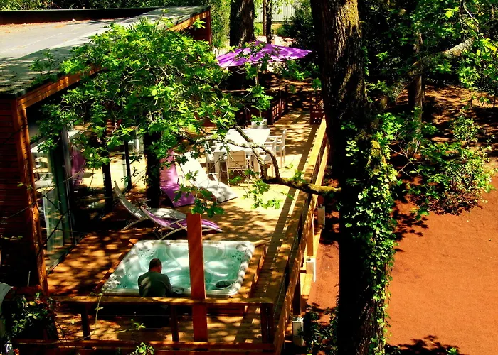 Oasis * Αρασόν