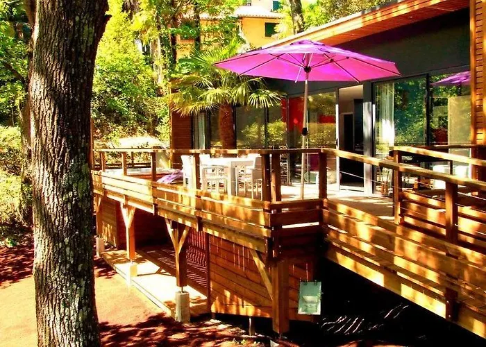 Oasis * Αρασόν